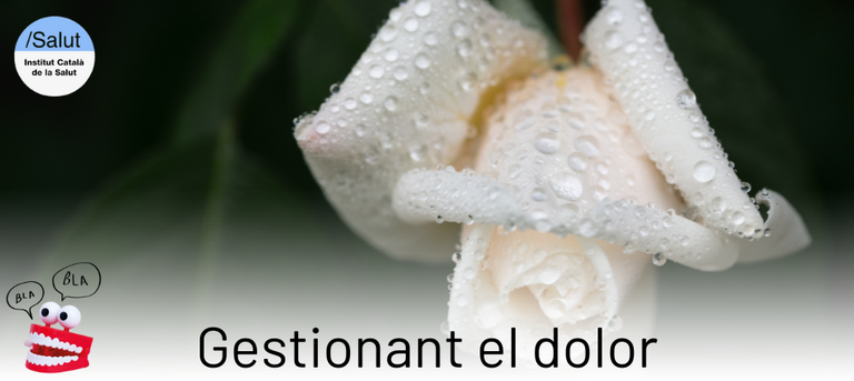 Gestionant el dolor