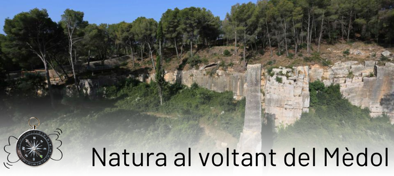 Ruta de natura al voltant de la pedrera del Mèdol