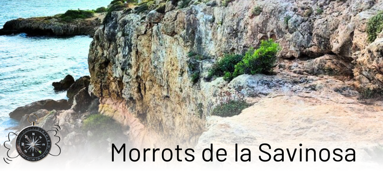 Sortida florística pels Morrots de la Savinosa