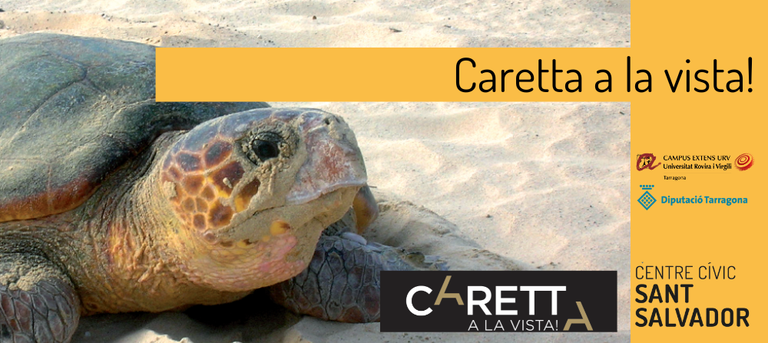 Exposició 'Caretta a la vista!'