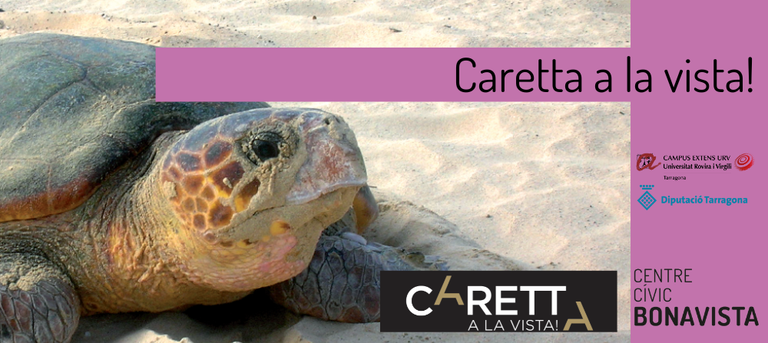 Exposició 'Caretta a la vista!'