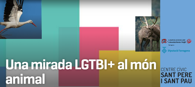 Exposició 'Una mirada LGTBI+ al món animal'