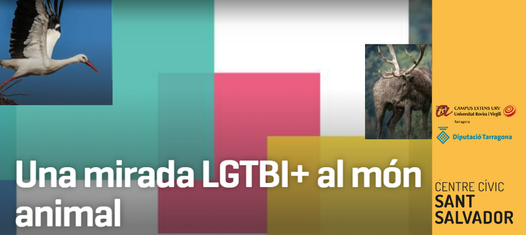 Exposició 'Una mirada LGTBI+ al món animal'