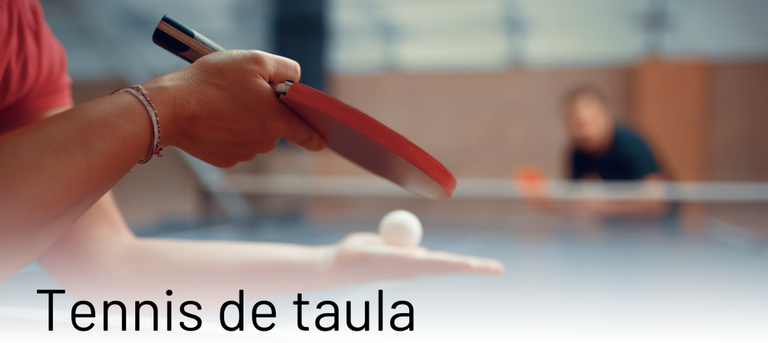 Jornada d'iniciació al tennis taula