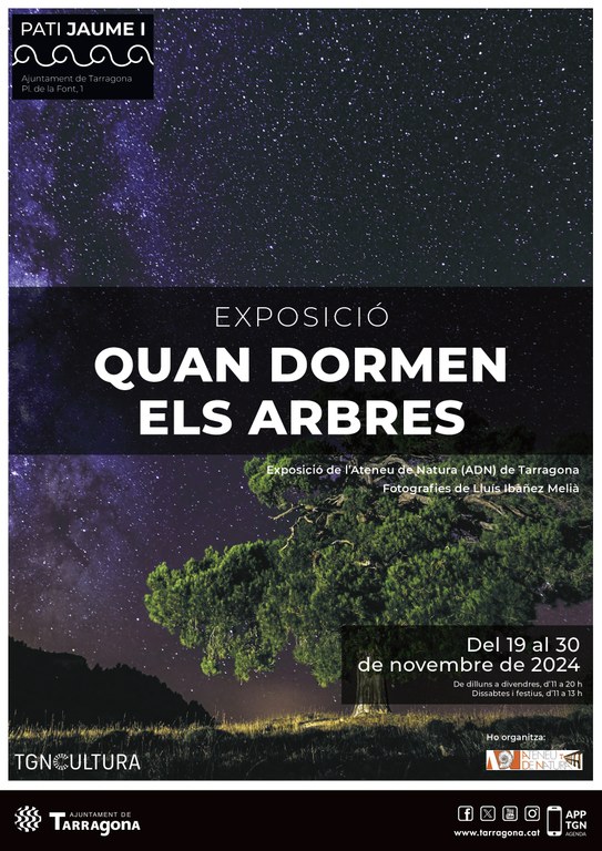 Exposició "Quan dormen els arbres"