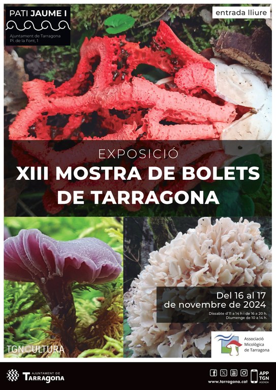 Exposició "XIII mostra de bolets de Tarragona"