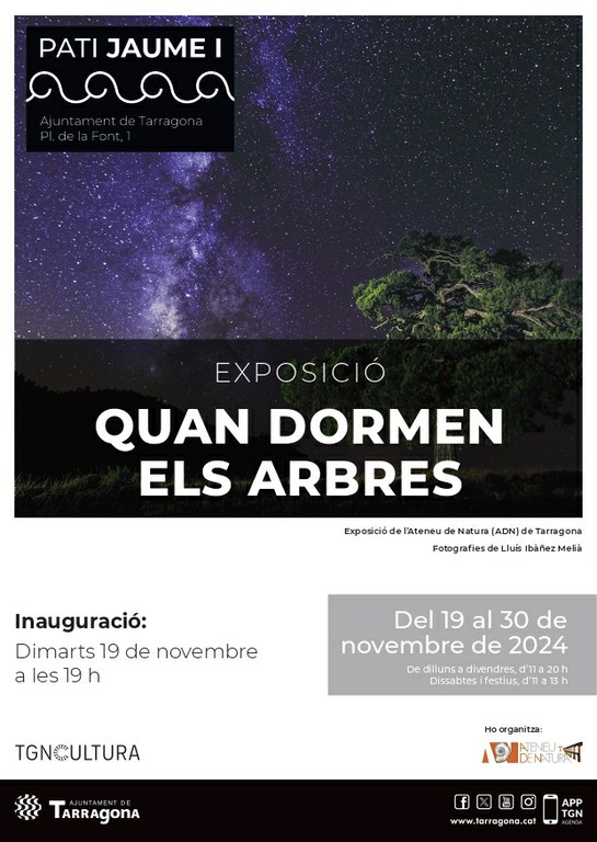 Inauguració de l'exposició "Quan dormen els arbres" 