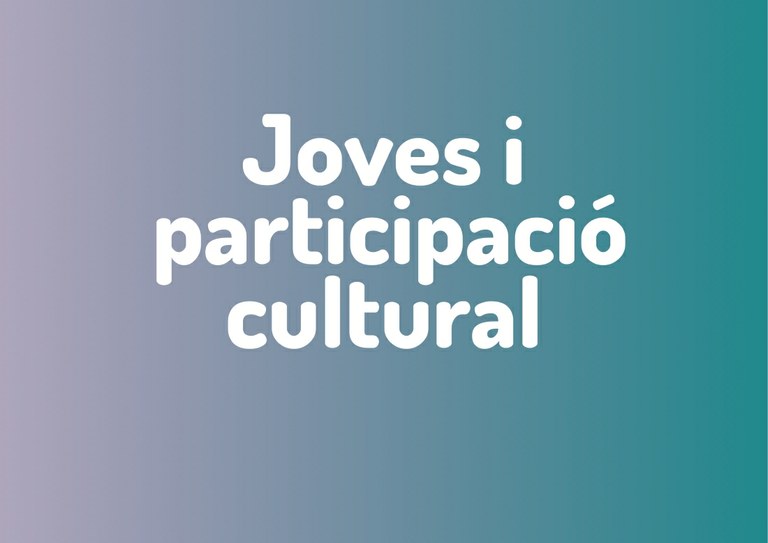 Jornada sobre joves i participació cultural