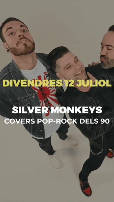 Silver Monkey - Nomad Tarragona