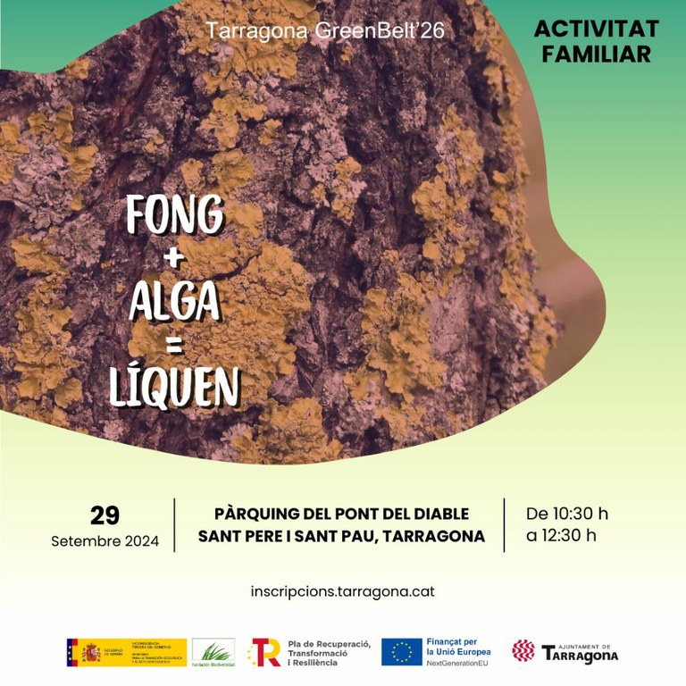 Fong+Alga=Líquen