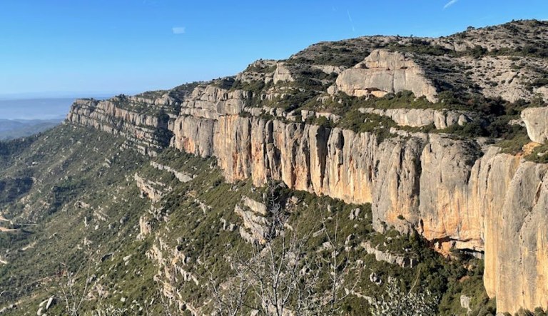 Priorat en Persona, la creació d'un patrimoni literari compartit, i Laviral, escola radical d'art i ciència