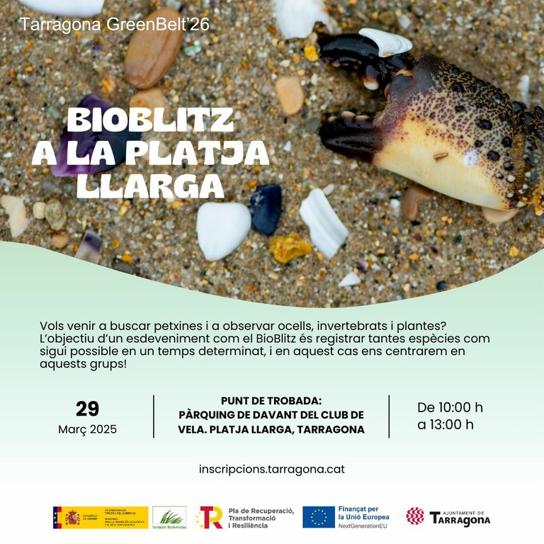 BioBlitz a la Platja Llarga