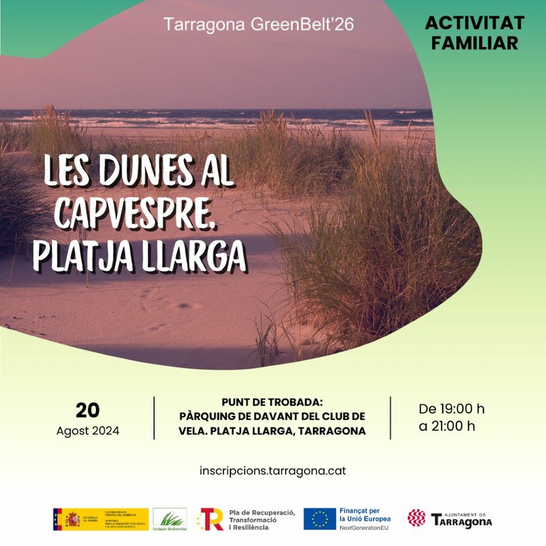 Les dunes al capvespre. Platja Llarga